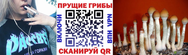 Псилоцибиновые грибы ЛСД  Заволжье 